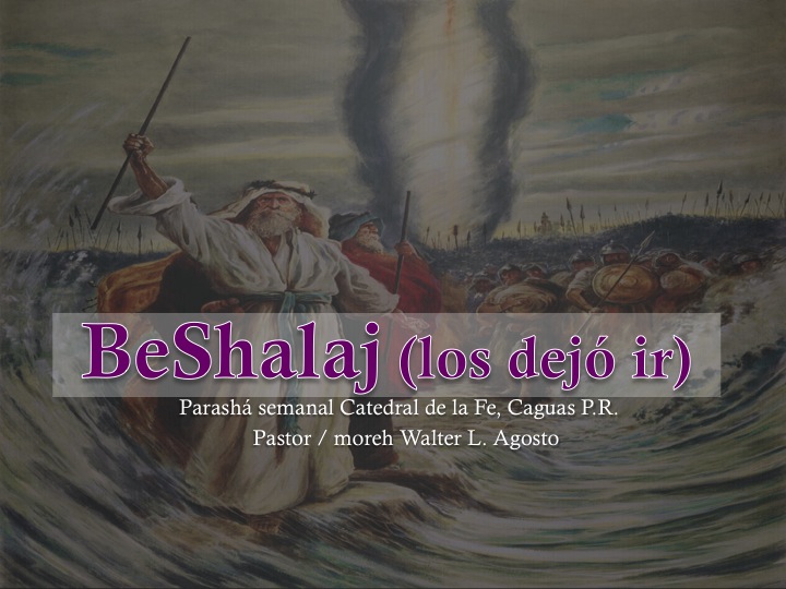 Parashá Beshalach (los dejó ir) Exodo 13:17 al 17:16 Pastor / Moreh Walter Agosto
