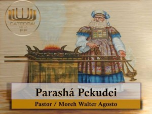 11004474_10202574788649450_1926953256_n