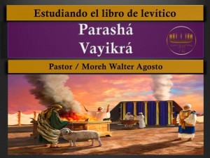 11079782_10202615829635449_1811792259_n