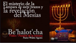 13493433_10204889982407847_1664961546_o (1)