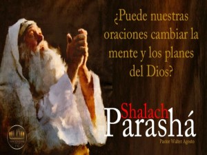 13552527_10204932840999285_88617728_n