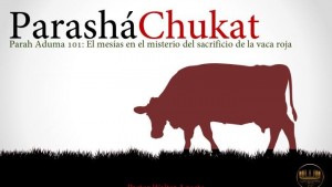 13706319_10205018905710849_2122491854_n