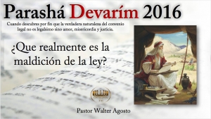 14012892_10205180649434341_1255510982_o