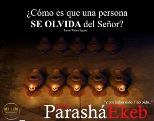 Screen Shot 2016-08-26 at 12.13.36 PM