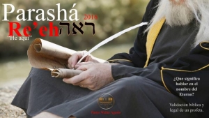 14169632_10205305984927650_359881537_n