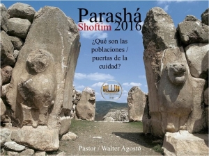 14287595_10205357649379229_1082379469_n