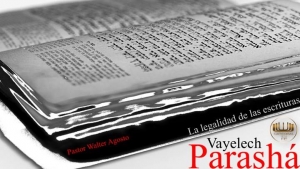 14593468_10205528101440424_1672147827_n