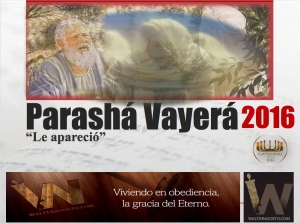 15065088_10205821256849126_1066161107_o